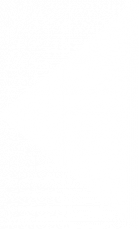 Polygon 5